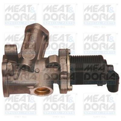 EGR Valve